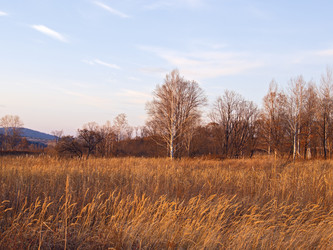 Similar image 1586204