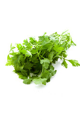 Similar image 1586220