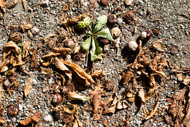 Similar image 1586340