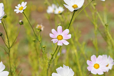 Similar image 1586514