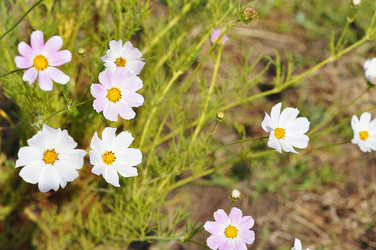 Similar image 1586517