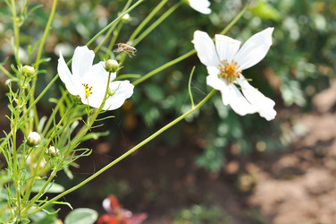 Similar image 1586518