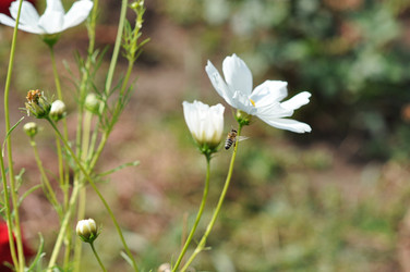 Similar image 1586520