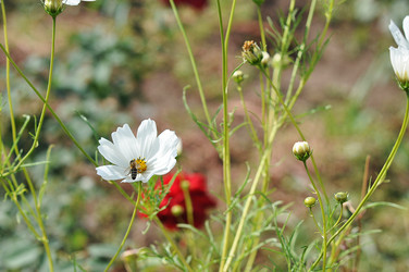 Similar image 1586522