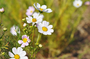 Similar image 1586523