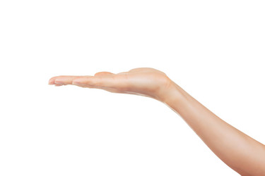 Similar image 1586528