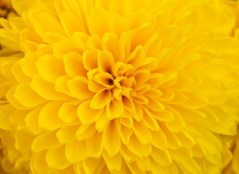 Similar image 1586544