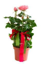 Similar image 1586546