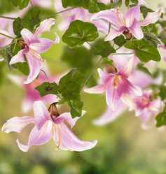 Similar image 1586600