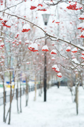 Similar image 1586615