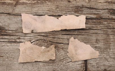 Similar image 1586681