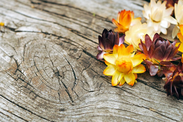 Similar image 1586686