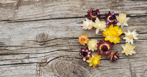 Similar image 1586722