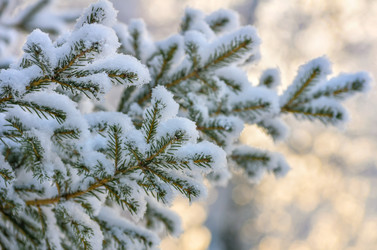 Similar image 1586844