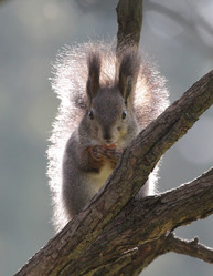 Similar image 1586846