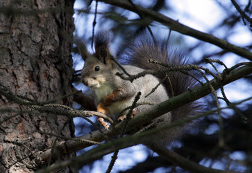 Similar image 1586847