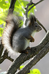 Similar image 1586848