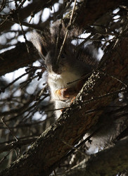 Similar image 1586849