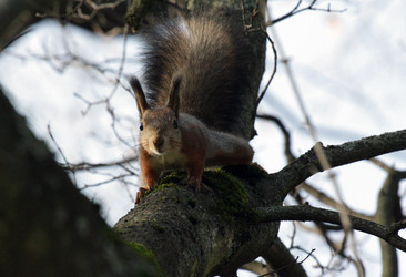 Similar image 1586850