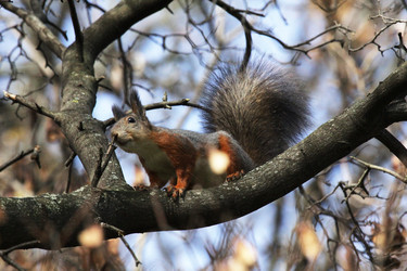 Similar image 1586851