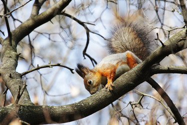 Similar image 1586852