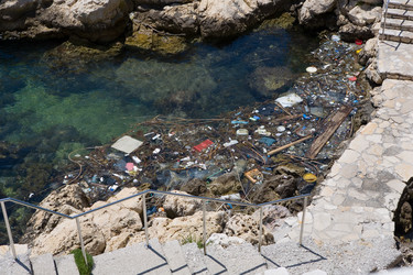 Similar image 1586854