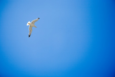 Similar image 1586861