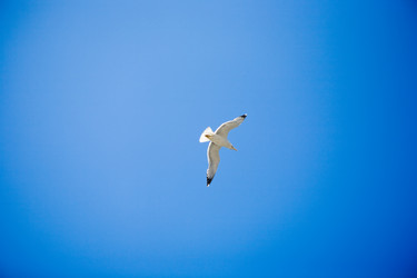 Similar image 1586884