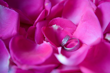 Similar image 1586885