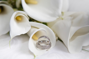 Similar image 1586894