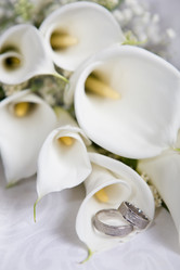 Similar image 1586902