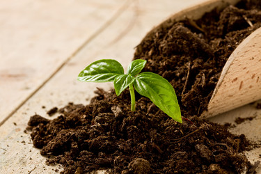 Similar image 1586917