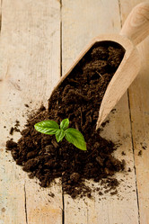 Similar image 1586918