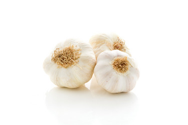 Similar image 1586920