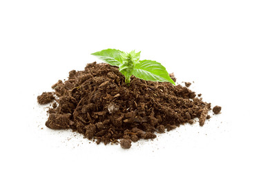 Similar image 1586938