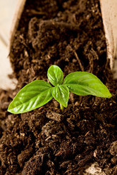 Similar image 1586940