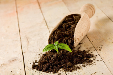 Similar image 1586941