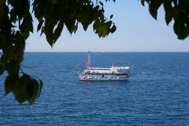 Similar image 1586995