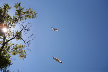 Similar image 1586996