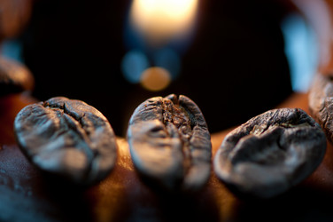 Similar image 1587034