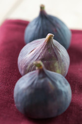 Similar image 1587039