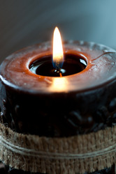 Similar image 1587041