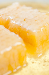 Similar image 1587069