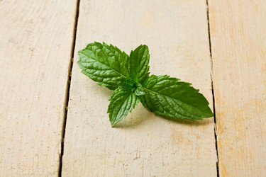 Similar image 1587092