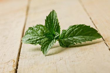 Similar image 1587094