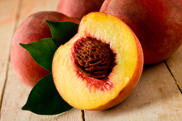 Similar image 1587186