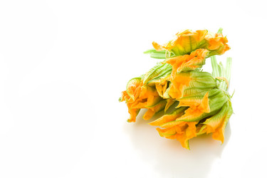 Similar image 1587274