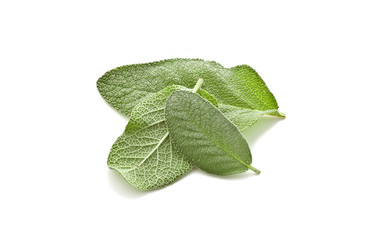 Similar image 1587289