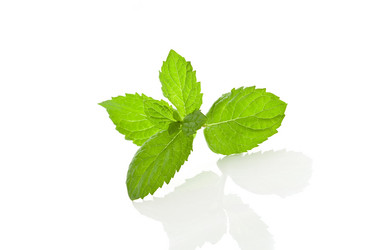 Similar image 1587290