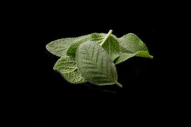 Similar image 1587301